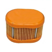 Air Filter for Briggs and Stratton Motors 790166