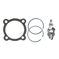 Head Gasket Ring Set and Spark Plug for Victa Power Torque VC160 Motors EN70743P
