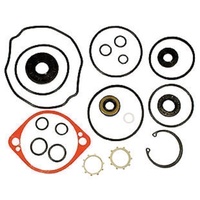 HYDROSTATIC DRIVE PUMP SEAL KIT FITS SELECTED ARIENS  RIDE ON MOWERS -     59203600    70525/BDP-10A , 