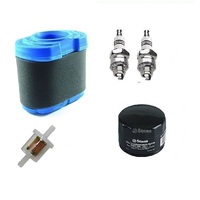 Service Kit fits Briggs &amp; Stratton Two Cylinder Motors Husqvarna Ride on Mowers