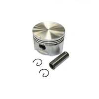 Plus 010 Pistons fits 10-18 HP Briggs &amp; Stratton Side Valve Motors 391287 499958