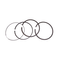 Ring Set fits Selected Briggs 31 Series Motors 699026 697164
