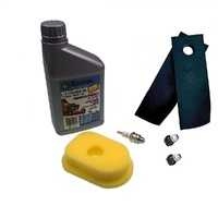 Maintenance Kit fits Masport &amp; Morisson Rear Catcher Lawn Mowers 270579 590013