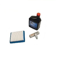 Stens Maintenance Kit fits Selected 600-725 Briggs Motors 491588