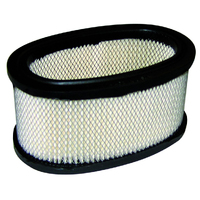 Air Filter for Briggs &amp; Stratton Motors 252700 253700 254400 393725