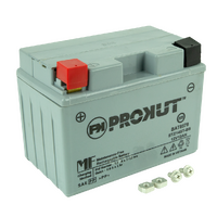 Prokut AGM Battery Universal Multi-Fit 12 Volt 11.0 Ah, 230 CCA Suits Cub Cadet Rover Masport