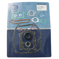 Gasket Set fits Quantum Series Briggs and Stratton Motors 794307 590508
