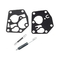 Diaphragm &amp; Governor Spring Kit for Briggs and Stratton Motors 495770 262759