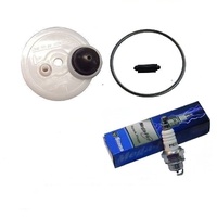 VICTA 2 STROKE CARBY FUEL PRIMER BULB CAP O RING AND NEEDLE KIT WITH SPARK PLUG