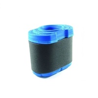 Briggs &amp; Stratton Air Filter &amp; Pre-Cleaner 792105