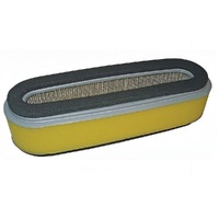 Air Filter for Sanli PMS550 Motors 1P68-060007