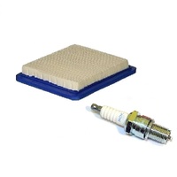 Air Filter &amp; Spark Plug for Briggs and Stratton Quantum Motors 399959