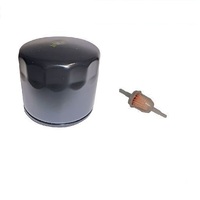 Oil &amp; Fuel Filter fits John Deere Ride on Mowers w/ Brigg Motors AM125424