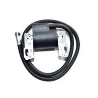 Ignition Coil for Briggs and Stratton Motors 691060 799651 843931 844548 845606