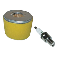 Air Filter And Spark Plug For Honda Gx240 Gx270 Gx340 Gx390 Motors 17210-Ze3-010