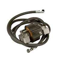 Ignition Coil for 16-18HP Briggs Twin Cylinder L Head Motors 394891 392329