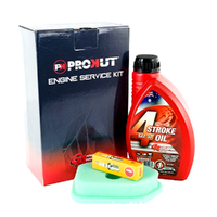 Lawnmower Service Kit for Briggs &amp; Stratton Classic Quattro Sprint Engines