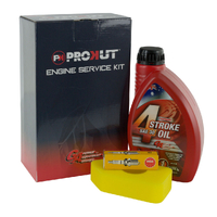 Prokut Briggs &amp; Stratton Engine Service Kit Quattro 3.5 to 4.75HP Q 45 &amp; Sprint