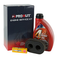 Prokut Engine Service Kit for Briggs and Stratton 500e 500ex 5138B