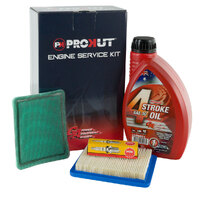 Quantum Engine Service Kit for Briggs &amp; Stratton 675EX Series Engines 5106B