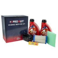 ProKut enigne service kit for Briggs & Stratton 13.5 HP - 17.5 HP INTEK ENGINE MDOELS WITH CARTRIDGE FITLER