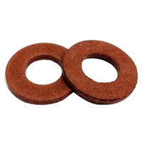 2x Port Cover Washers fits Victa Special 18 Early 125cc Motors EN70038