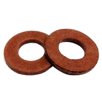 2x Port Cover Washers fits Victa Special 18 Early 125cc Motors EN70038