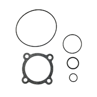 Head Gasket &amp; O Ring Kit for Victa Torque Motors CRO03227A HA253634