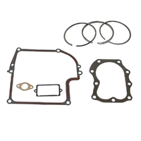 Ring &amp; Gasket Set for 7 8HP Briggs and Stratton Motors 391699 393881 299577