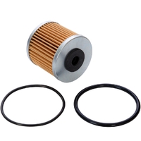 Genuine OEM Hydro Gear ZT-4400 Transmission Filter Kit 72537