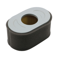 Air Filter – Briggs &amp; Stratton 797033