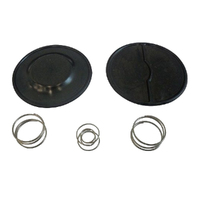 Repair Kit fits Selected Briggs &amp; Stratton Motors w/ Walbro Carburetor FPC-1-1
