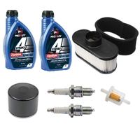 Engine Service Kit for Kawasaki Motors FR651V FR691V FR730V 49019-0707