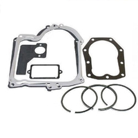 RING & GASKET SET FOR 11 HP 25 SERIES BRIGGS AND STRATTON MOTORS  499996