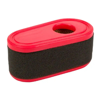 Air Filter and Foam Pre-Filter  Suits Masport, Stiga Cartridge LON180100096-0001