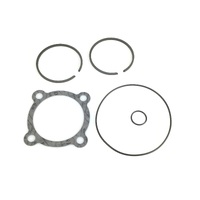 Piston &amp; Ring Kit for Victa Power Torque Motors 1988 Onwards Std Rings