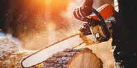 Chainsaw & Trimmer Parts