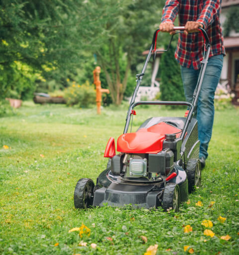 Green acres mowers burleigh 2025