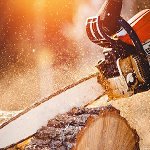 How To Clean Your Chainsaw Chain
