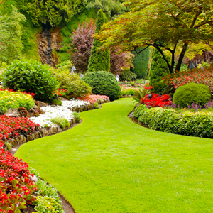 Spring Lawn Care & Mowing Tips!