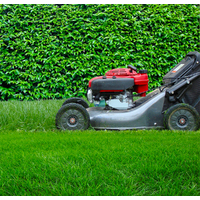 Best Mowing Height For Your Grass Type