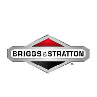 Suits Briggs & Stratton